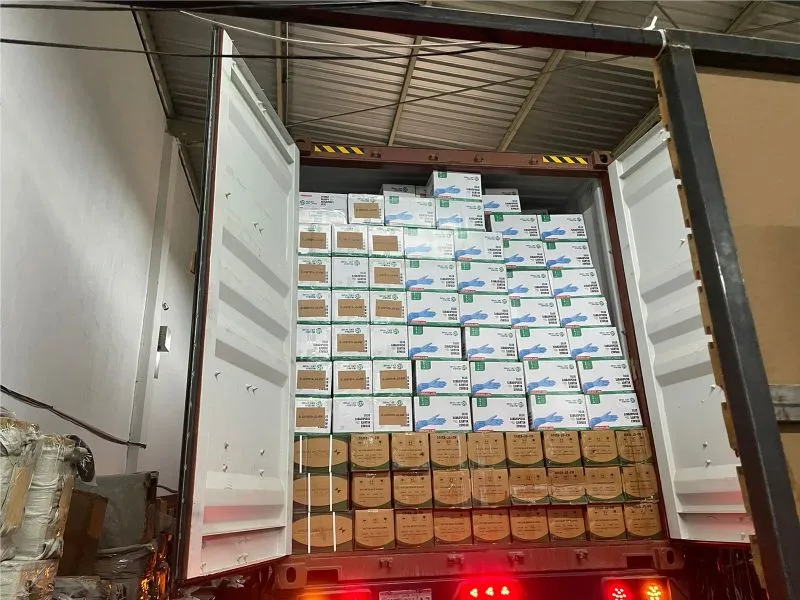 Interior de un contenedor cargado con mercancía